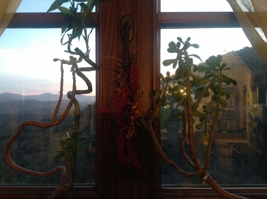 Bed & Breakfast Ca' Di Vissai Arnasco Exteriér fotografie