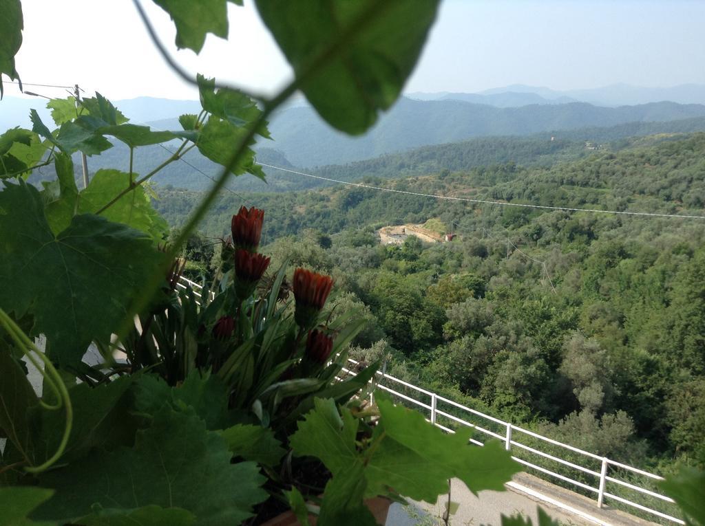 Bed & Breakfast Ca' Di Vissai Arnasco Exteriér fotografie