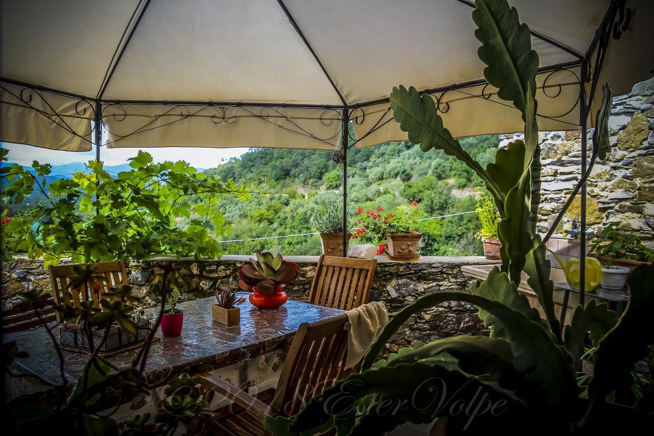 Bed & Breakfast Ca' Di Vissai Arnasco Exteriér fotografie