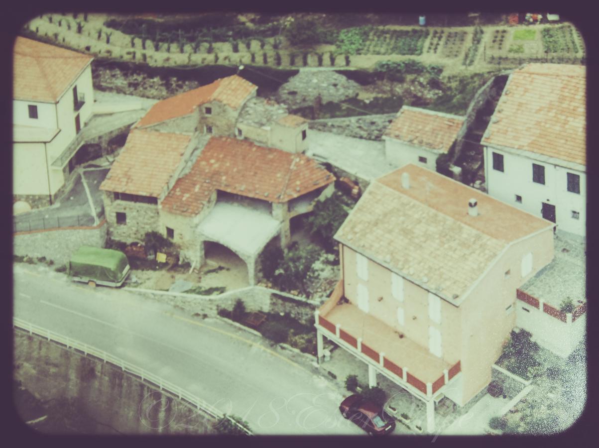 Bed & Breakfast Ca' Di Vissai Arnasco Exteriér fotografie